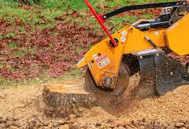 Grass Overseeding in Kelso, WA